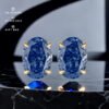 Zircon ice cut S925 silver Earrings - Image 4